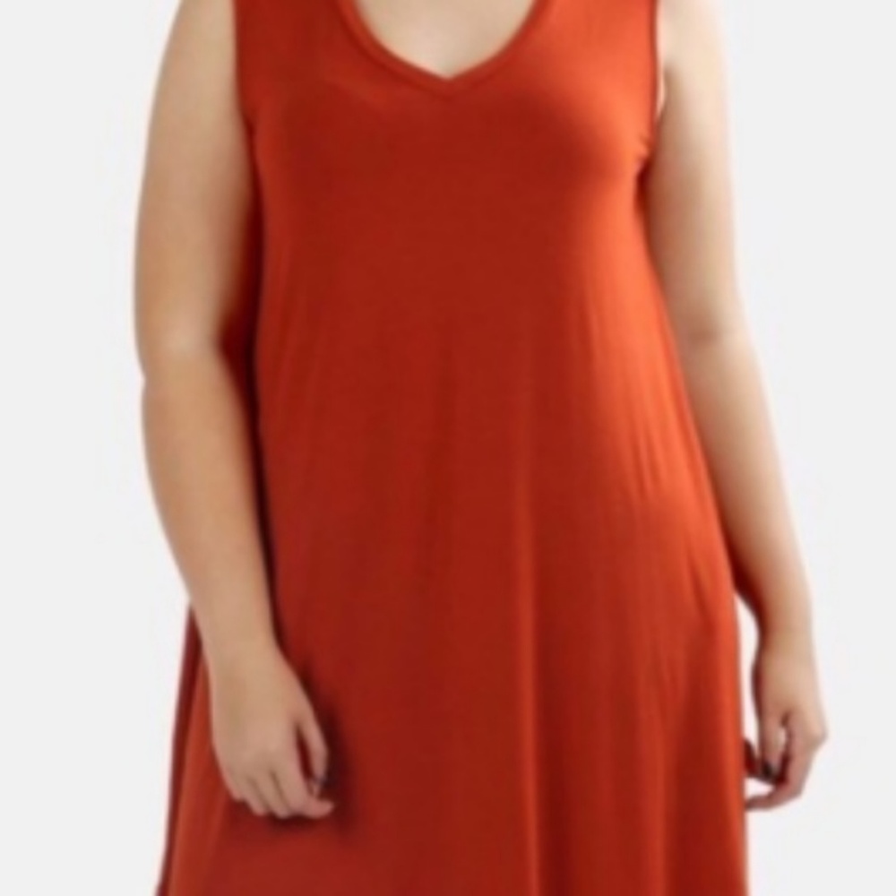 Plus Size Rustic Swing Dress - Picture 3 of 4